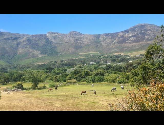 3 BEDROOM PROPERTY TO RENT IN CHAPMANS PEAK